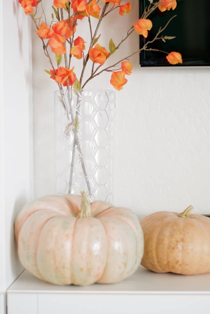 Early Fall Home Tour - 9