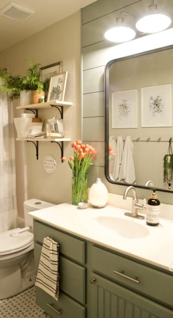 Budget Bathroom Makeover Reveal The Collected House